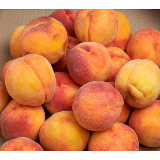 10Pcs Peach Tree Seeds Easy to Cultivate Flowering Branches for Small Spaces Planting