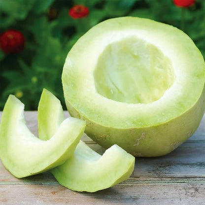 50Pcs Honeydew Melon Seeds for Planting - Non-GMO Heirloom Plant Seeds Garden Outdoor,Sweet & Juice