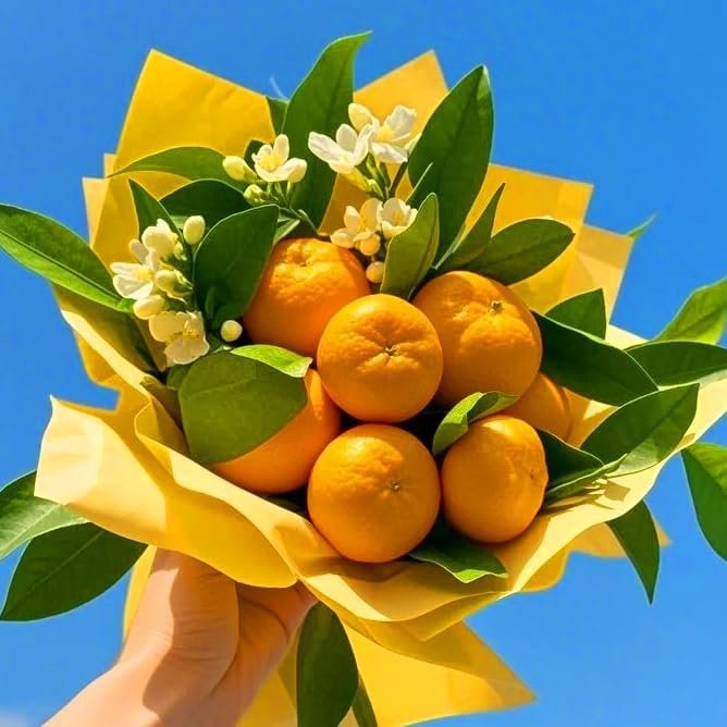 46Pcs Orange Tree Seeds Develop Graceful Tree Structure That Enhances The Overall Aesthetics Of Backyard Areas
