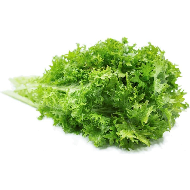 Wasabi Mustard Green Seeds 200 Count Seed Pack - Non-GMO - Large Green Leaves with Wavy Edges and a Fun Wasabi-Like