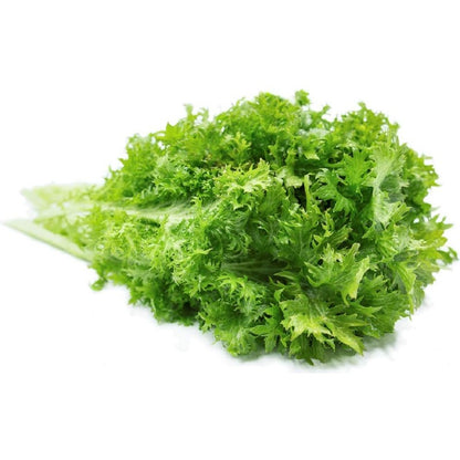 Wasabi Mustard Green Seeds 200 Count Seed Pack - Non-GMO - Large Green Leaves with Wavy Edges and a Fun Wasabi-Like