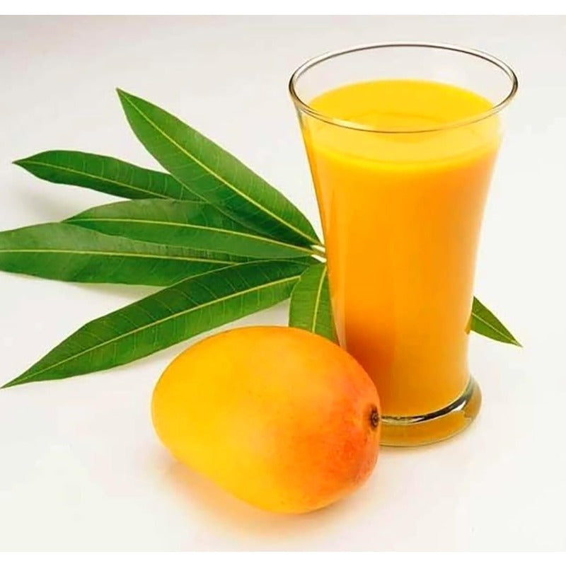 1Pcs Mango Seeds Easy to Maintain ideal for long term fixed planting in courtyard landmark spaces and large garden areas