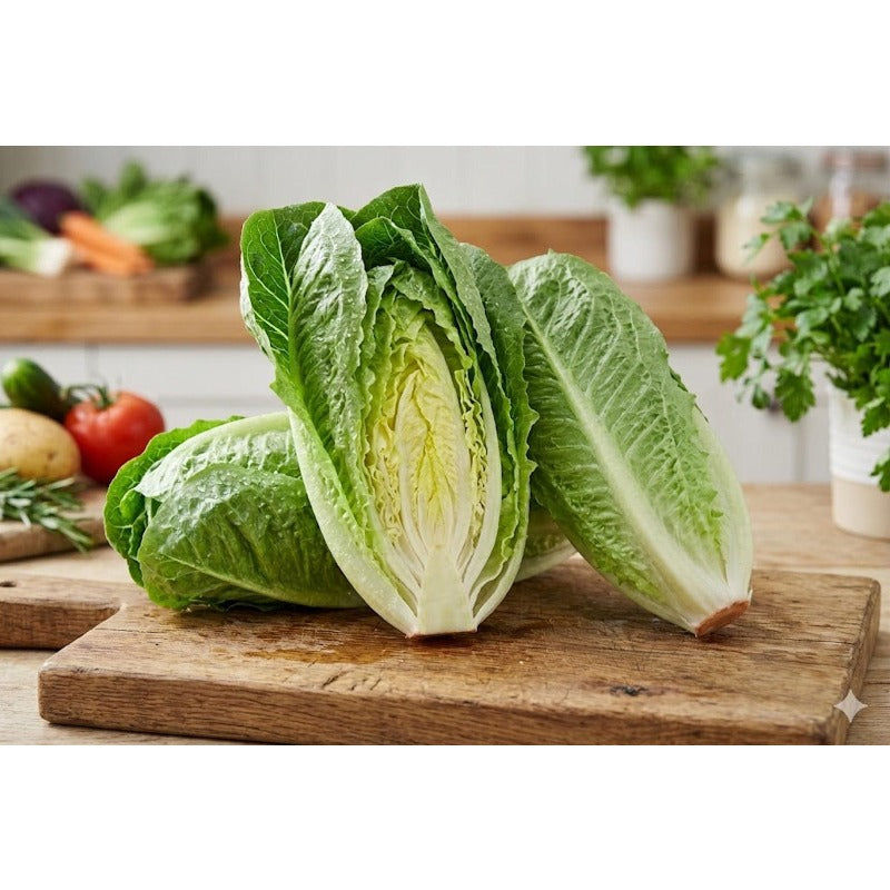 1000pcs Suitable for beginner planting Lettuce Seeds flourish in ordinary well-drained soil suited for garden foliage cultivation