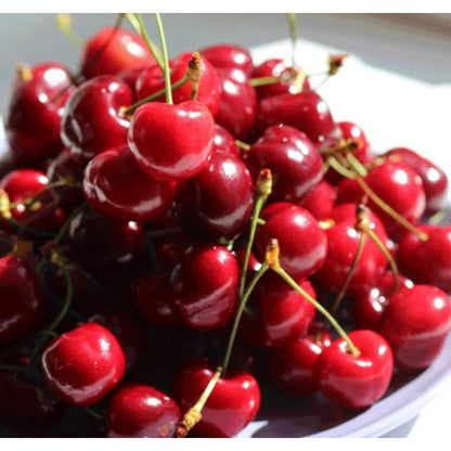 30Pcs High Germination Blossom Foliage with Cherry Tree Seeds for Garden Fence Decoration