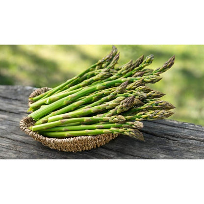 Asparagus - 100 Seeds Easy to Grow, Tasty Perennial That yields for Years!