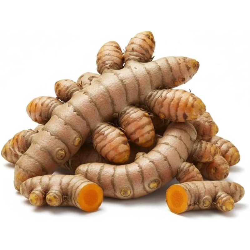 100pcs  Ginger Seeds Effortless Cultivation fit small and medium courtyard and garden landscape layout demands