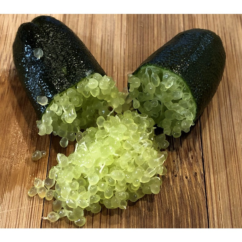 25Pcs Finger Lime Seeds Quick To Germinate Offer Reliable Sprouting For Home Growers