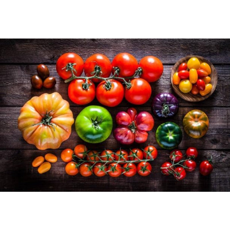 200pcs Ornamental Tomato Seeds Bushy Growth Easy To Plant For Patio Containers