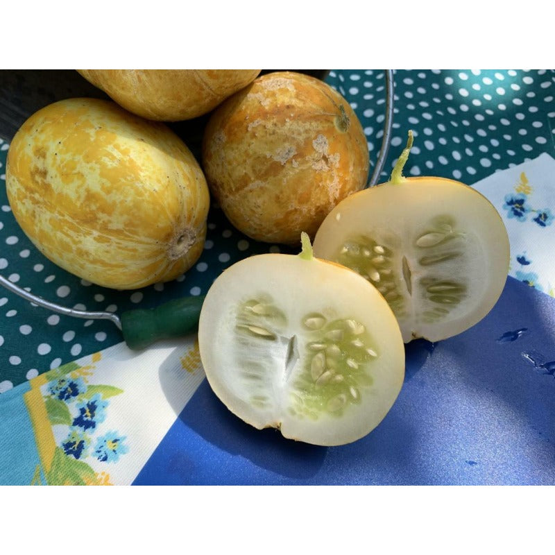 50pcs Lemon Cucumber Seed, HEIRLOOM - NON GMO, Fresh Seeds for Your Garden,