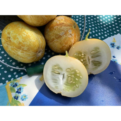 50pcs Lemon Cucumber Seed, HEIRLOOM - NON GMO, Fresh Seeds for Your Garden,