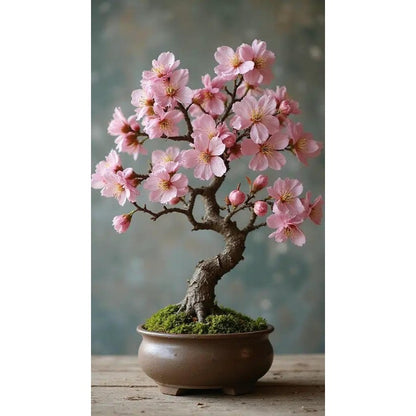 30pcs Great For Creating Peaceful Garden Atmosphere Cherry Blossom Seeds Easy To Grow