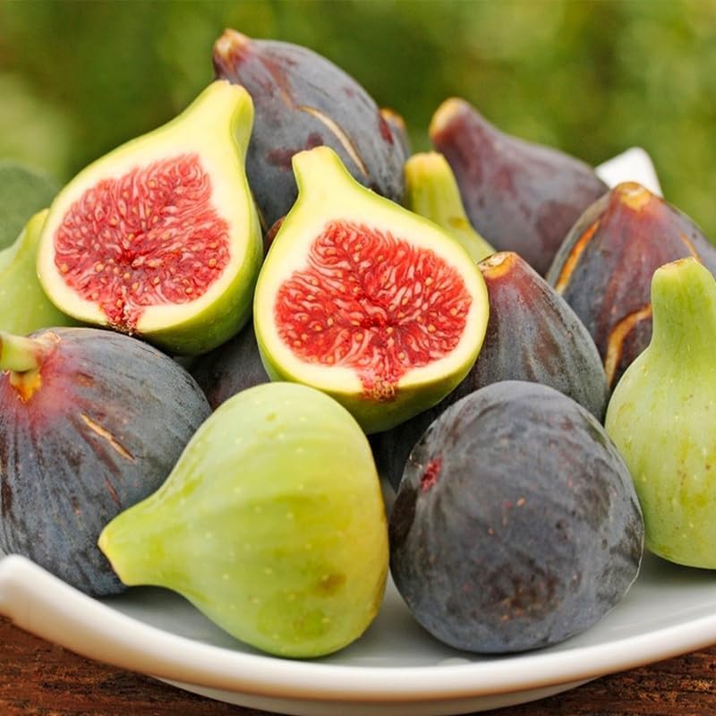 Fig Seeds 290Pcs for Planting, Fruit-Bearing Perennial, Beginner Friendly, for Home Garden, Backyard Orchard, Outdoor Potted Edible Fruit Plant