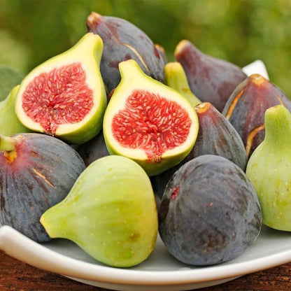 Fig Seeds 290Pcs for Planting, Fruit-Bearing Perennial, Beginner Friendly, for Home Garden, Backyard Orchard, Outdoor Potted Edible Fruit Plant