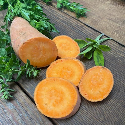 93Pcs Easy to Sow Sweet Potato Seeds ideal for forming continuous vine coverage along garden borders and open ground edges