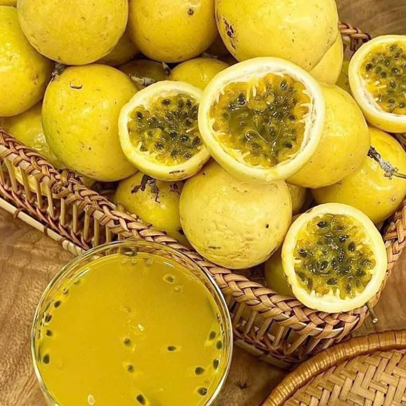 100Pcs Yellow Passion Fruit Seeds for Planting - Non-GMO Heirloom Plant Seeds Garden Outdoor - Sweet & Juicy Home Gardening Tropical Fruit