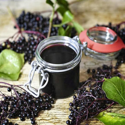 190Pcs Elderberry Seeds for Planing - Non-GMO Heirloom Black Elderberry Seeds for Planting Outdoor