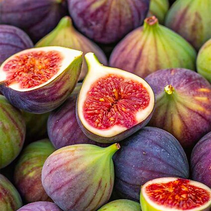 250Pcs Perennial King Figs Fruit Seeds for Planting - Non-GMO Heirloom Seeds