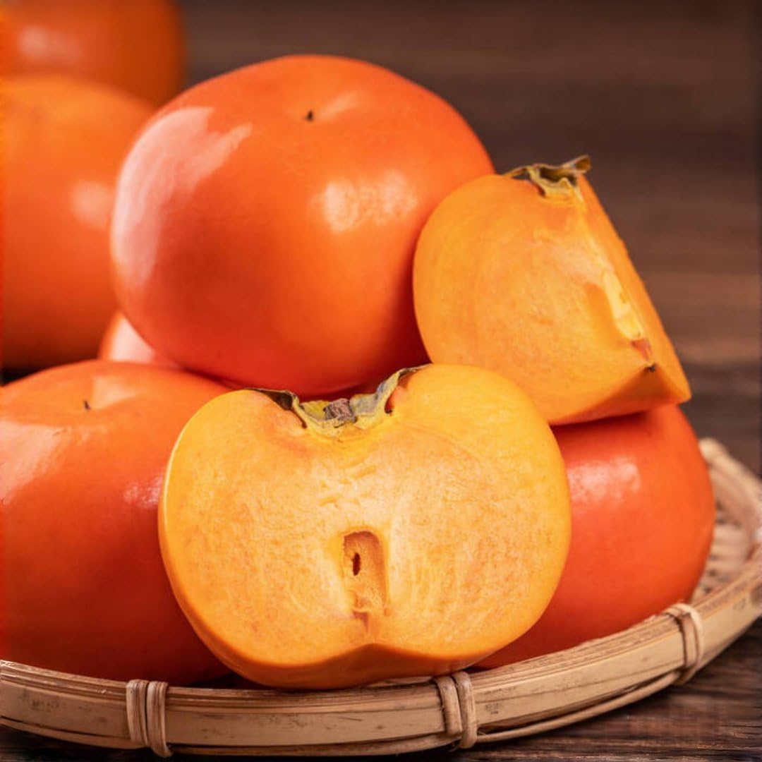 50Pcs Persimmon Seeds Slow-Growing & Long-Lived, High Germination for Garden & Yard Decoration