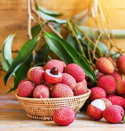 7Pcs Lychee Seeds Fit for home planting hold extended long-term growth period for lasting landscape layout value