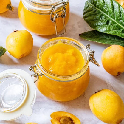 10Pcs Loquat Seeds Easy to Maintain ideal for long-term fixed planting in courtyard accent spaces and garden open areas