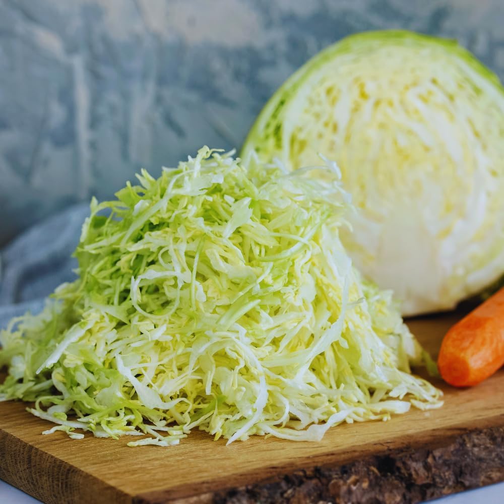 200pcs Cabbage Seeds Friendly for new gardeners grow into full rounded rosette form with steady seasonal growth renewal features