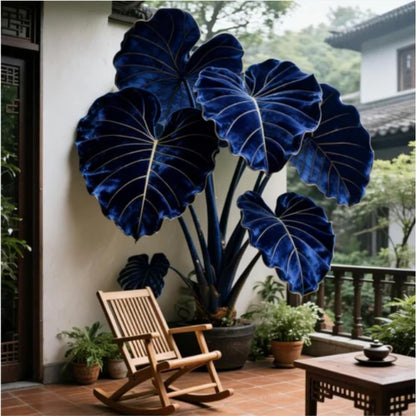 100pcs Elephant Ear seeds for Rich Green Display, Backyard Garden Design