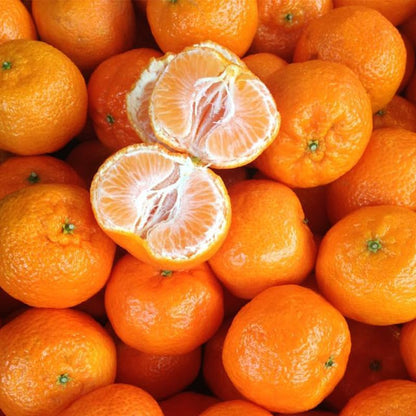 50Pcs Orange Seeds for Planting - Fresh Harvest, Non-GMO, Sweet & Juicy