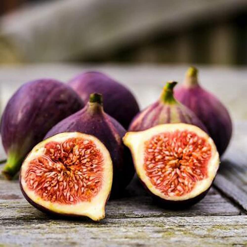 Fig Seeds 290Pcs for Planting, Fruit-Bearing Perennial, Beginner Friendly, for Home Garden, Backyard Orchard, Outdoor Potted Edible Fruit Plant