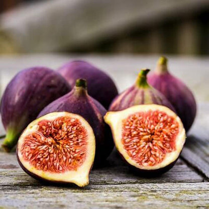 Fig Seeds 290Pcs for Planting, Fruit-Bearing Perennial, Beginner Friendly, for Home Garden, Backyard Orchard, Outdoor Potted Edible Fruit Plant