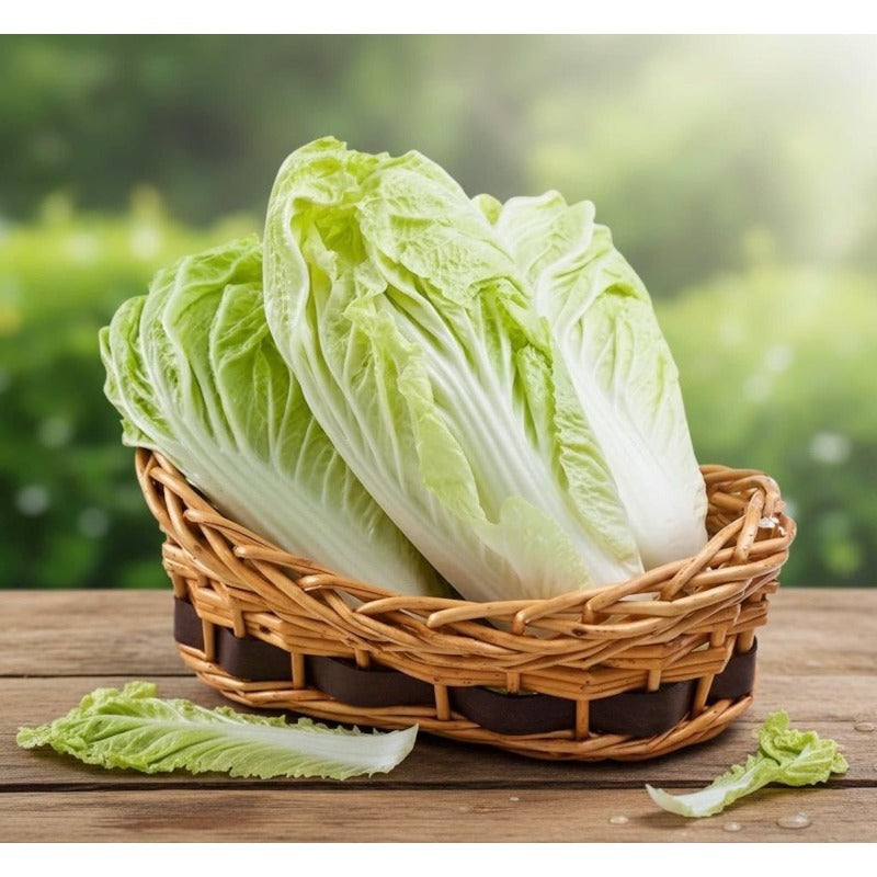 200 Chinese Cabbage Seeds  Friendly for new gardeners grow into full compact rosette form with steady seasonal foliage renewal features
