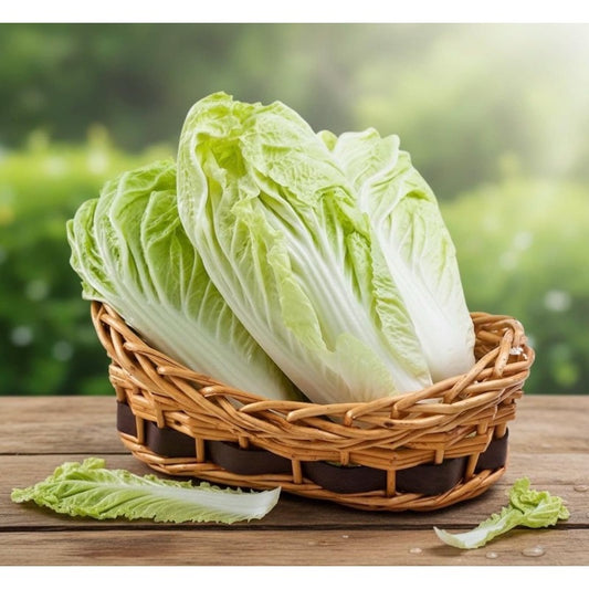 200 Chinese Cabbage Seeds  Friendly for new gardeners grow into full compact rosette form with steady seasonal foliage renewal features