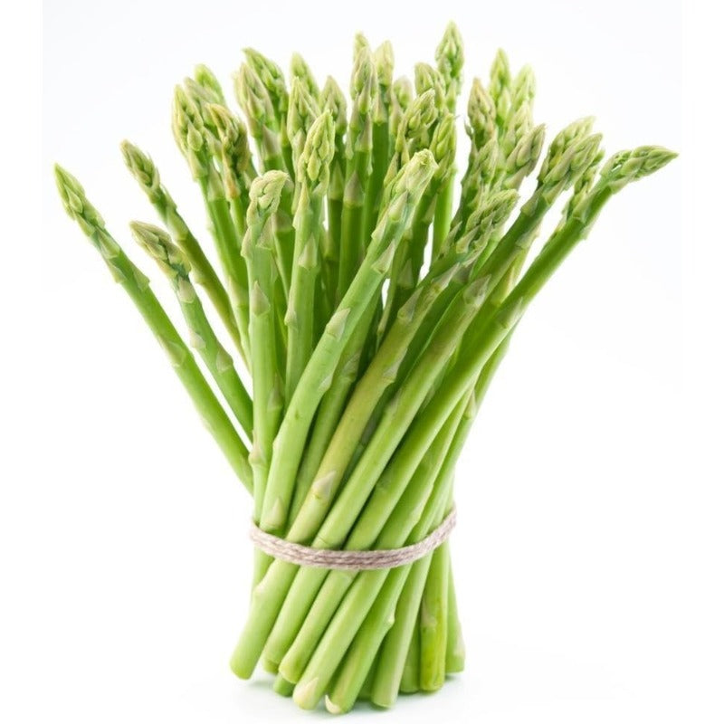 100pcs Asparagus Seeds Simple for beginner planting keep natural upright clustered form without disorderly overexpansion