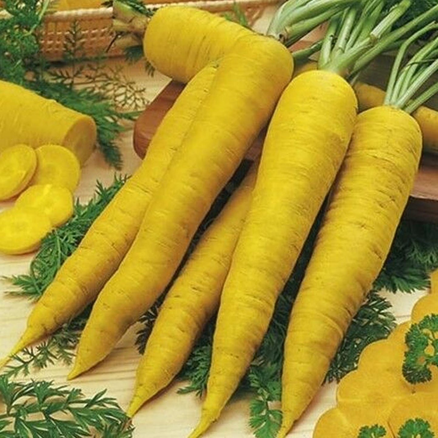 200 Yellow Carrot Seeds  Heirloom easy to planting Non GMO