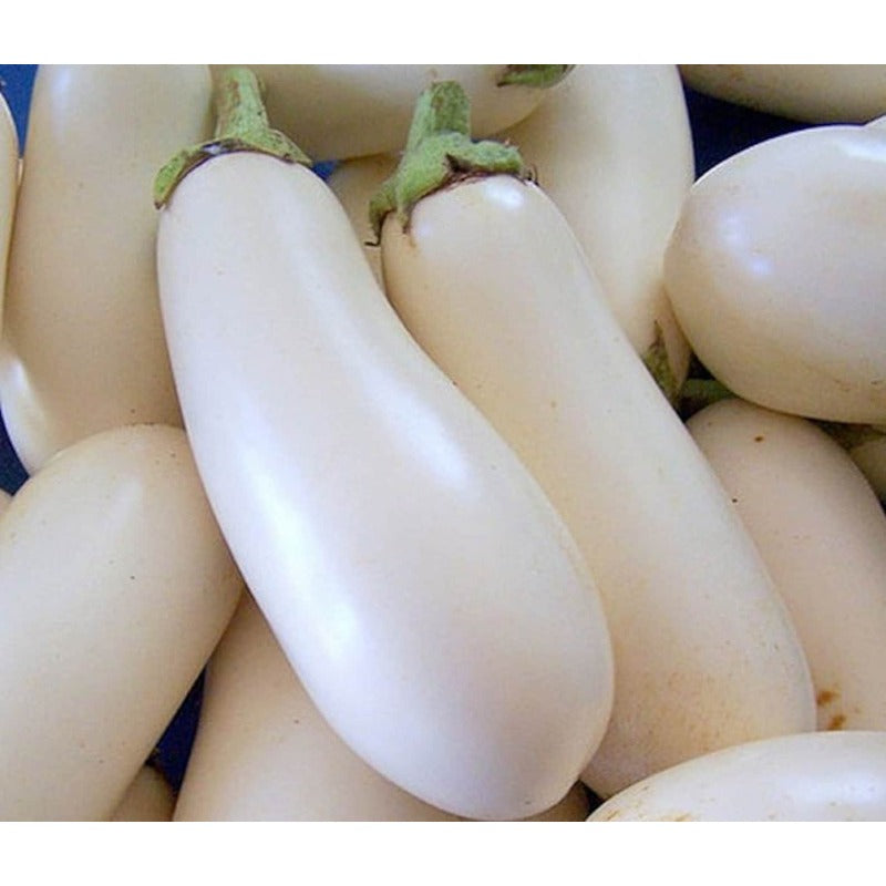 200pcs pure white heirloom Eggplant Seeds Suitable for home planting ideal for personal landscape arrangement