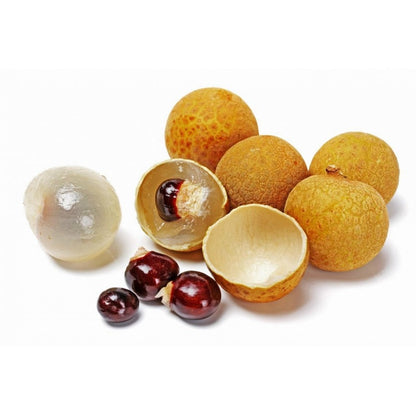 9Pcs Longan Seeds Perfect for beginner sowing adapt well to open ground placement and spacious garden plot cultivation