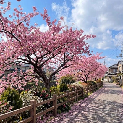 30pcs Ideal For Classic Landscape Beauty Cherry Blossom Seeds Easy To Grow In Home Gardens