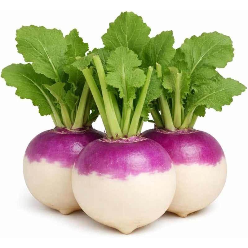 200 Purple Top White Globe Turnip Seeds – Round White Roots with Purple Crown, Everyday Kitchen Use, In-Ground, Raised Bed & Container Gardens