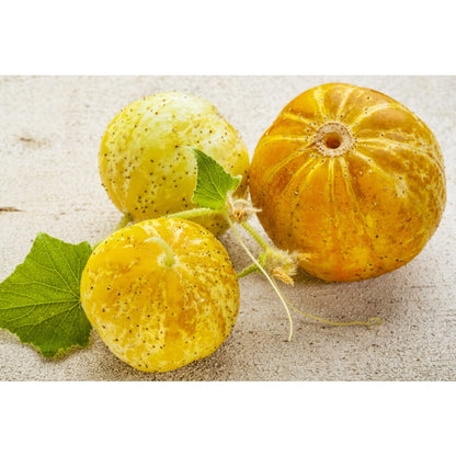 50pcs Lemon Cucumber Seed, HEIRLOOM - NON GMO, Fresh Seeds for Your Garden,