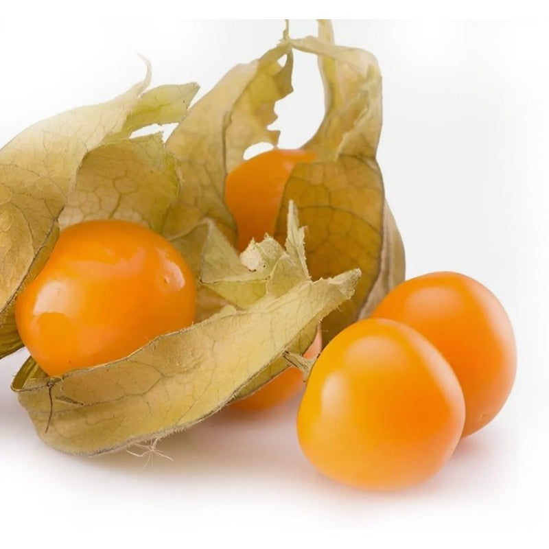 100Pcs Gooseberry Seeds Fruit Spring Ground Cherry-Heirloom Seeds