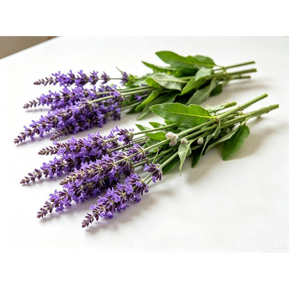 200pcs Blue Sage Seeds Heirloom Full Sun Cut Flower for Pollinator Garden, Border & Patio Containers