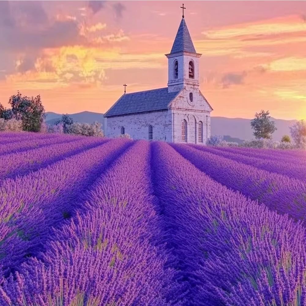 1000Pcs Lavender Seeds Drought Resistant Easy To Raise For Open Air Planting