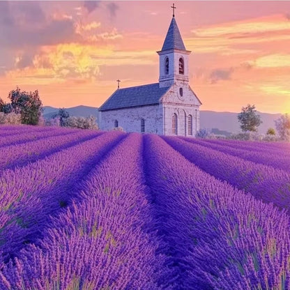 1000Pcs Lavender Seeds Drought Resistant Easy To Raise For Open Air Planting