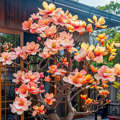 30pcs Magnolia Tree Seeds for Home Garden, Perennial Flowering Ornamental Shrub with Showy Blooms