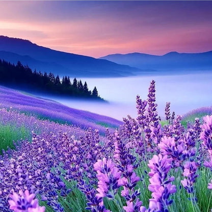 1000Pcs Lavender Seeds Drought Resistant Easy To Raise For Open Air Planting