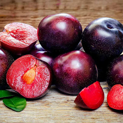 10Pcs Wild Plum Trees Fruit Seeds for Planting Outdoor-Perennial Native Prunus Seeds Non-GMO Heirloom Fruit Trees Seed for Home Outdoor Garden
