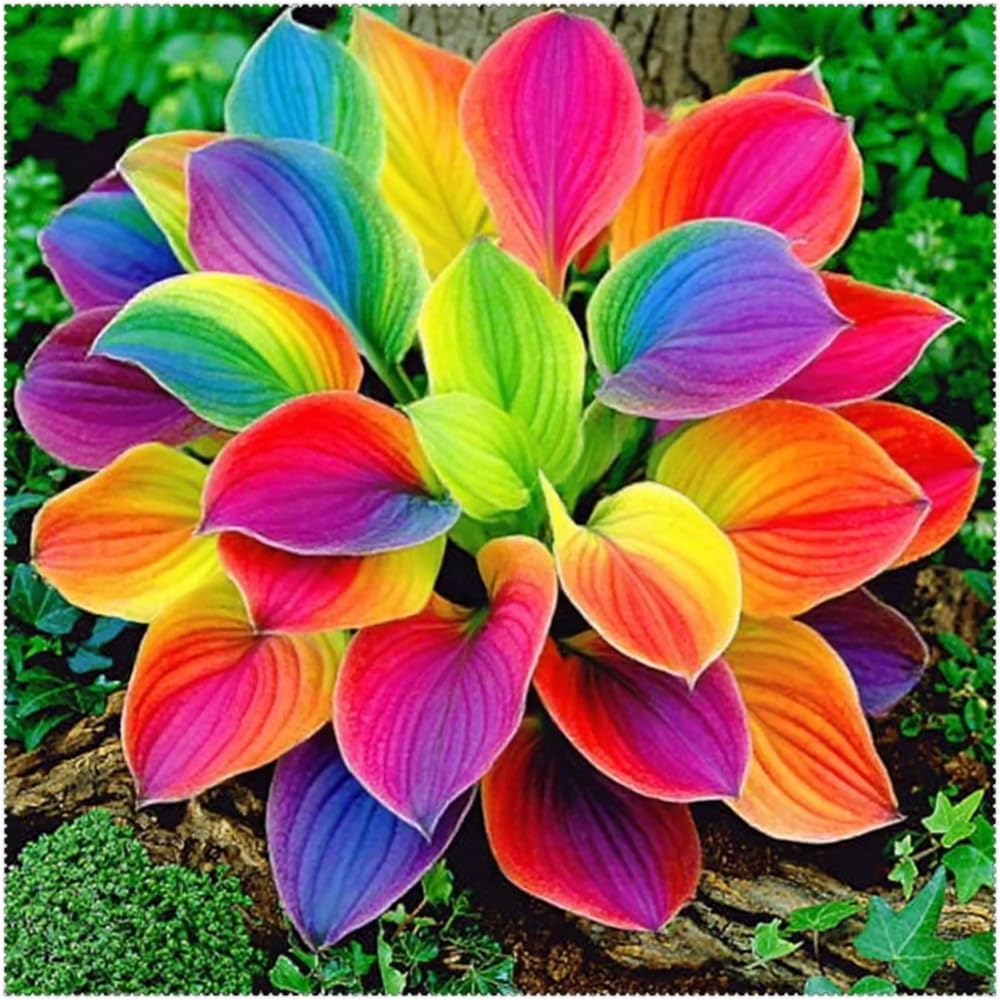 96Pcs Hosta Seeds Fit for home planting hold consistent seasonal growth cycles for lasting landscape layout value