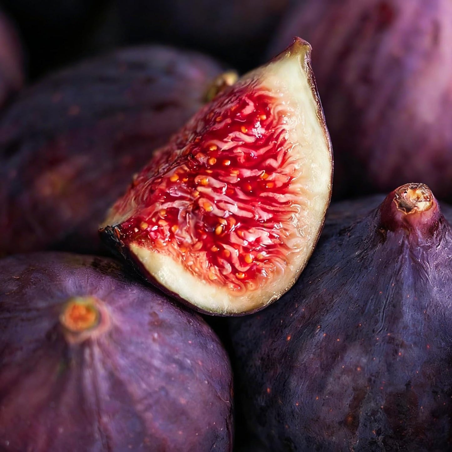 300Pcs Fig Seeds Easy to Establish great for novice yard styling, large corner formation and permanent landscape design