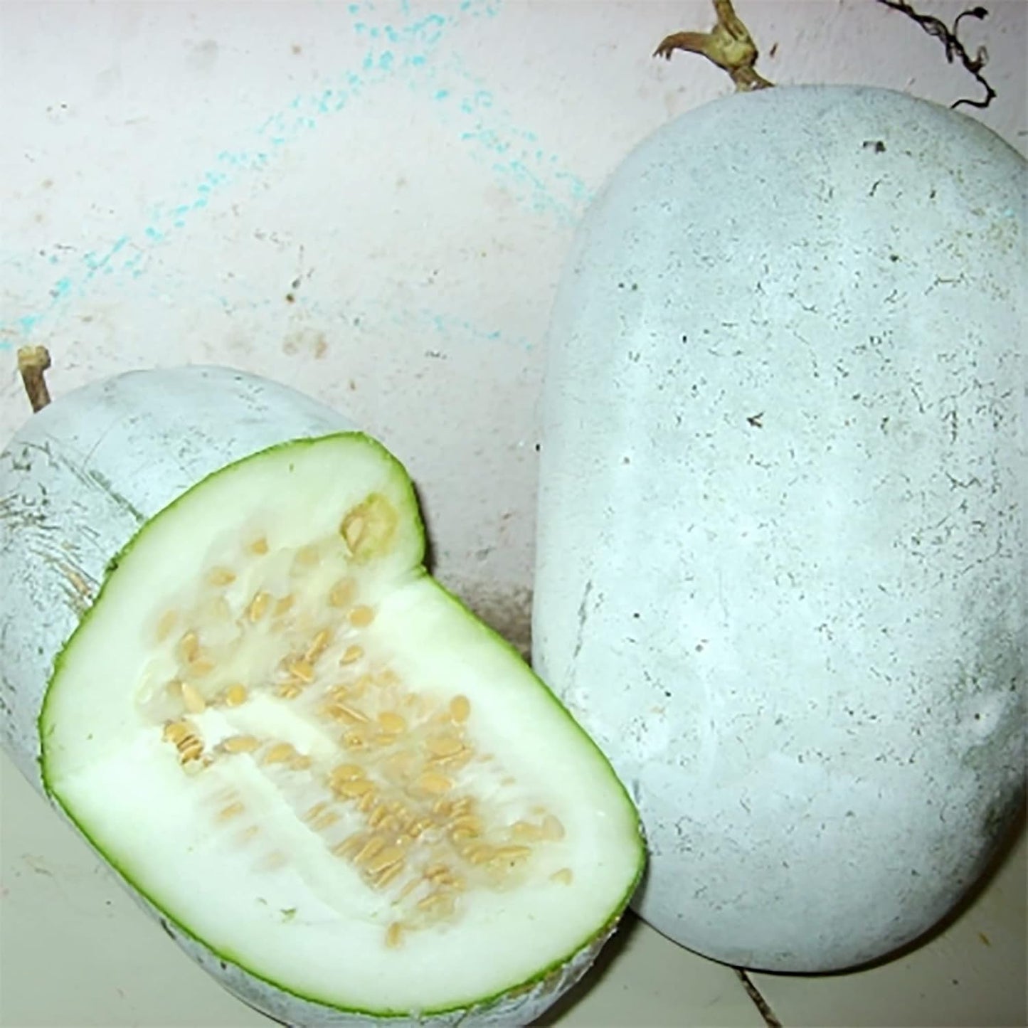30pcs Winter Melon Seeds Simple to Grow add broad lush texture to plain garden grounds and trellis spaces