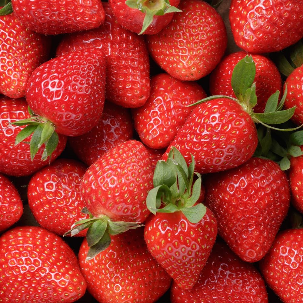 280Pcs Strawberry Fruit Seeds for Planting Home Garden Outdoor