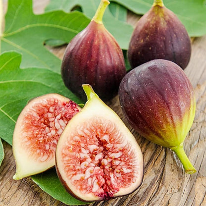 270Pcs Seed King Figs Sweet Fresh Fruit Seeds for Planting Outdoor-Non-GMO Heirloom Fig Tree Plant in Your Home Garden